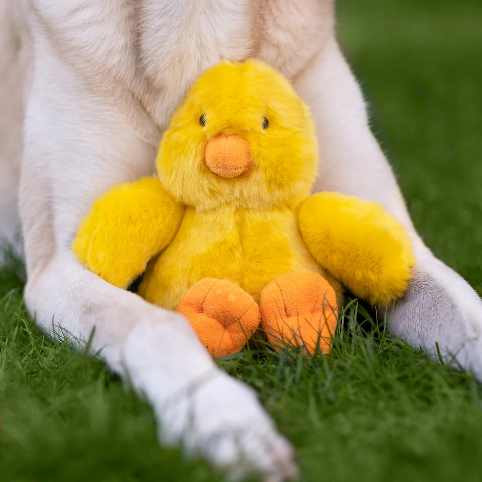 Fluff & Tuff - Howie Duck