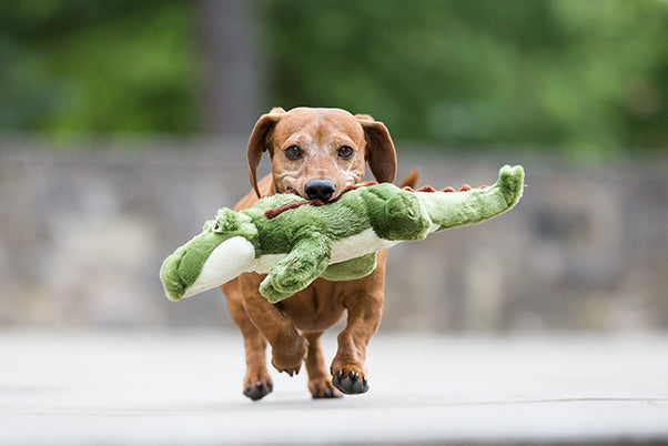Fluff & Tuff Big Daddy Gator Plush Toy for Dogs