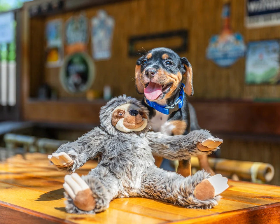Fluff & Tuff Sonny the Sloth Plush Toy for Dogs