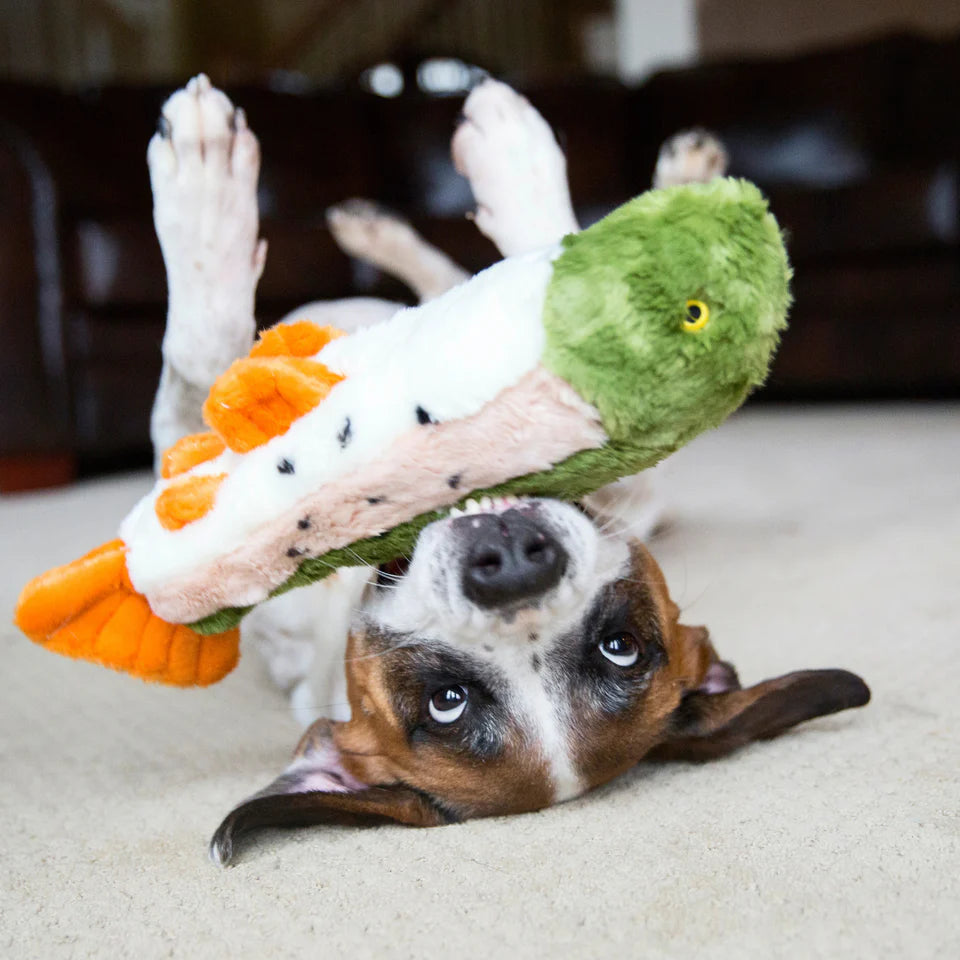 Fluff & Tuff Ruby Rainbow Trout Plush Toy for Dogs