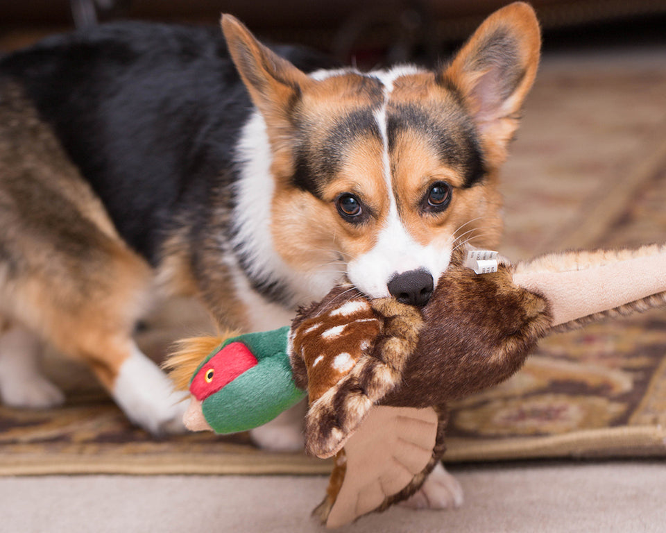 Fluff & Tuff Ike Pheasant Plush Dog Toy