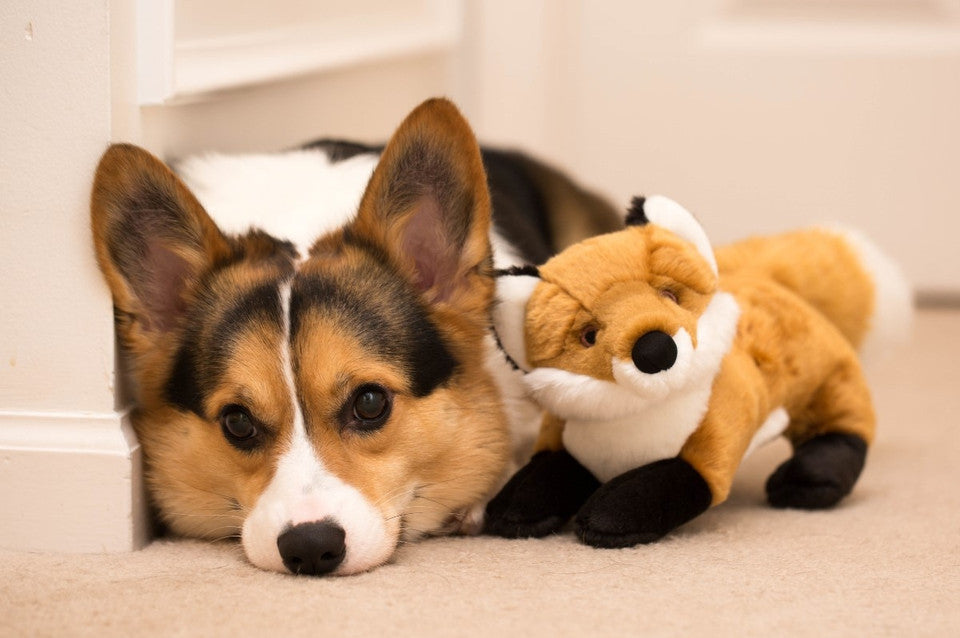 Fluff & Tuff Hendrix Fox Durable Plush Dog Toy
